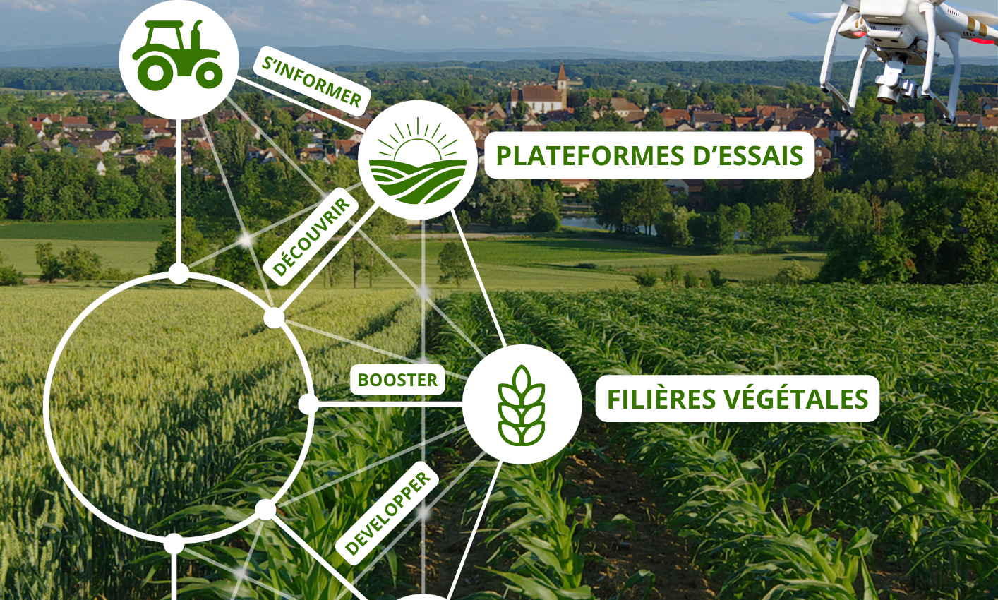Affiche Finale Terr'Innov Alsace journée technique au champ
