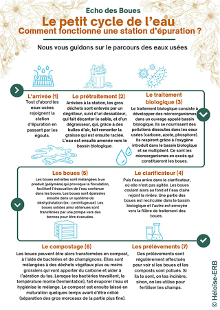 Le petit cycle de l'eau : le fonctionnement d'une station d'épuration