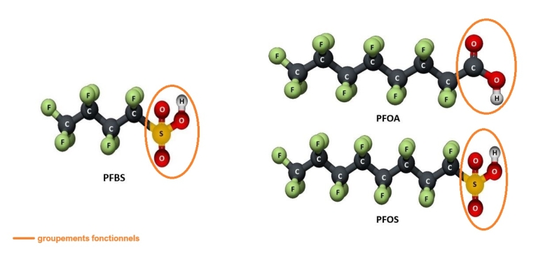 Exemples de PFAS à chaîne carbonée courte (PFBS) et à chaîne carbonée longue (PFOA et PFOS) - Source : https://ecotoxicologie.fr/pfas-risque-environnement